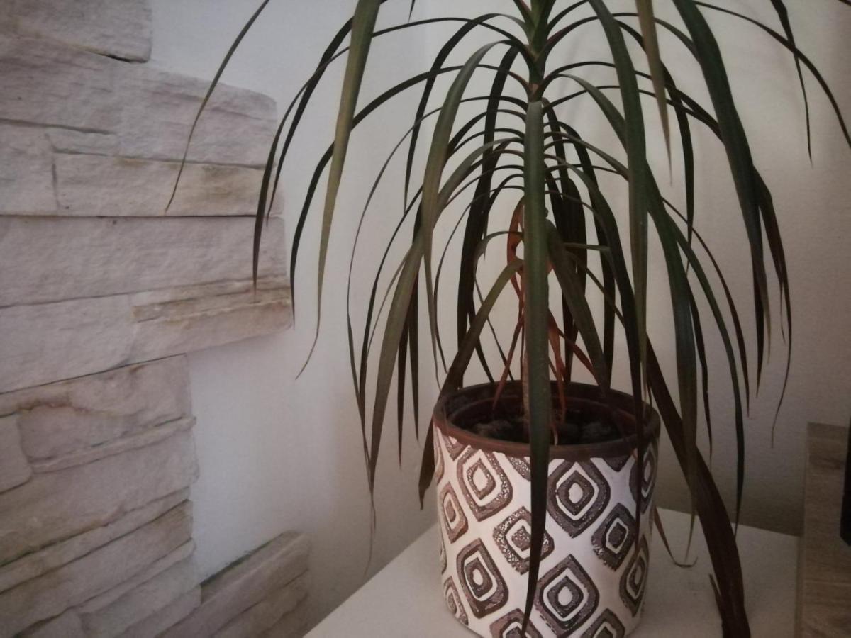 Apartment Green Free Private Parking Novi Sad Eksteriør bilde