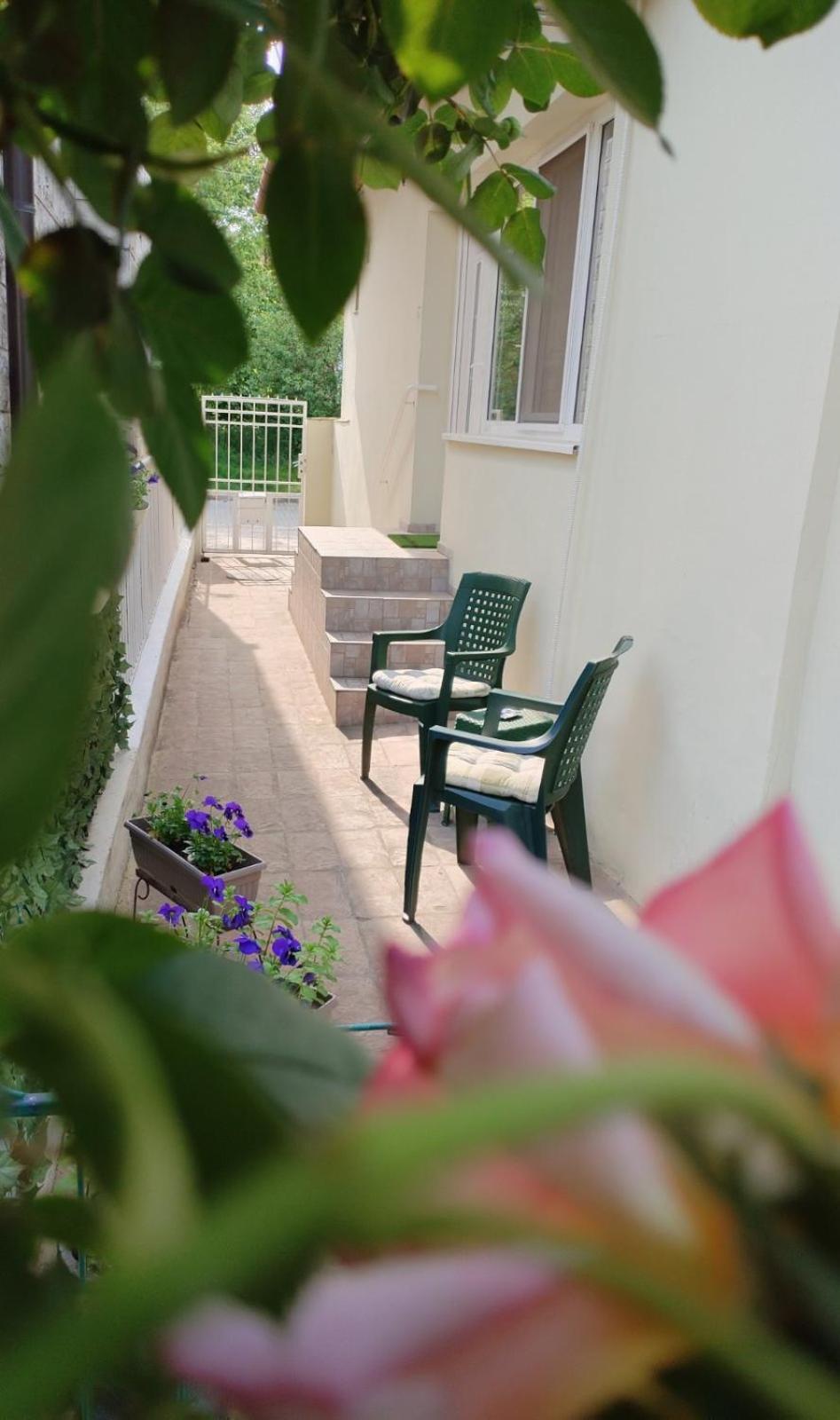 Apartment Green Free Private Parking Novi Sad Eksteriør bilde